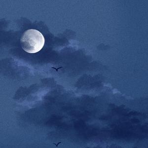 找个老淑女泻火视频
