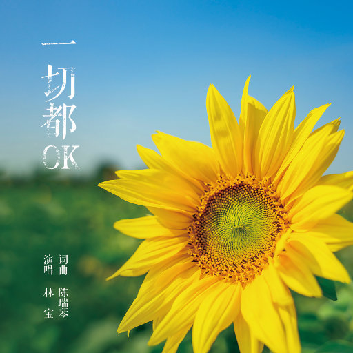 找个老淑女泻火视频
